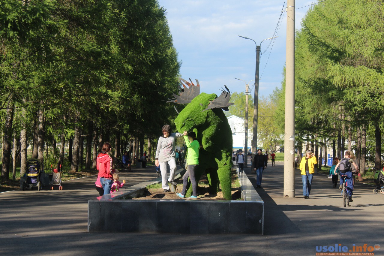 площадь в усолье сибирское