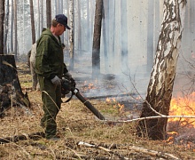 За минувшие сутки в лесном фонде в Приангарье ликвидировано 13 пожаров