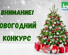 В Усольском районе объявлен конкурс на лучшее оформление предприятий потребительского рынка к Новому 2025 году.