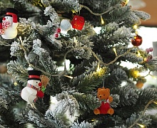 Эколог Лебедева объяснила, почему на Новый год лучше покупать живую елку