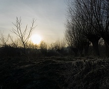 Восемь человек, причастных к палам сухой растительности, установлены в ходе дознания по фактам пожаров