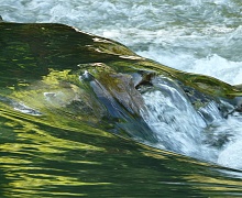 Роспотребнадзор не рекомендует купаться в трех водоемах Усольского района