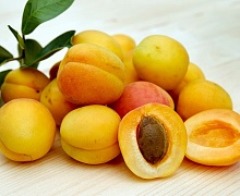 Сколько «химии» в первых абрикосах: отвечает агроном