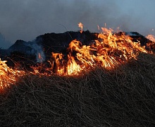 На  территории Усольского лесничества начался пожароопасный сезон 