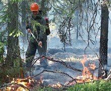 Усольских добровольцев привлекут к тушению пожаров