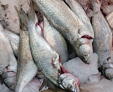 Фрукты и рыба вырастут в цене перед Новым годом