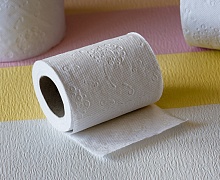 Малышева считает использование туалетной бумаги опасным для здоровья