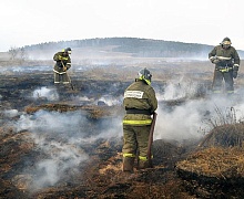 В Усольском районе продолжают гореть торфяники