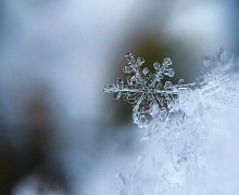 Синоптики предупредили об аномальной погоде в России зимой
