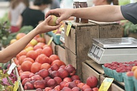Диетолог Зубарева опровергла распространенный миф об овощах и фруктах