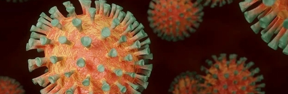 Первый зараженный: в Россию проник новый штамм коронавируса