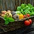 Врач Мясников назвал способный снизить риск развития рака овощ