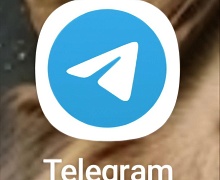 Россияне рассказали, продолжат ли они пользоваться Telegram после ареста Павла Дурова