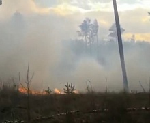 18-летний житель Усольского района спалил около 20 га леса