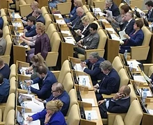 Госдума приняла во втором чтении законопроект о «лесной амнистии»