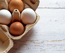 Эксперт раскрыл, почему в России дорожает куриное мясо и становятся «золотыми» яйца