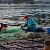На Камчатке опасаются радиоактивной воды после сброса с «Фукусимы»: стали известны результаты проб