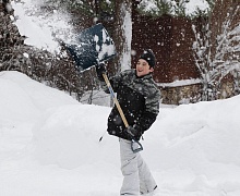 Адвокат Колотович рассказала, чем грозит кража снега у соседа по даче