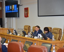 Год был плодотворным Депутаты ЗС провели онлайн-совещание с муниципалитетами