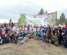 В Усольском районе высадили 12 тысяч сеянцев сосны, в рамках международной акции «Сад памяти»
