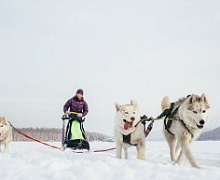 Шест в руках каюра