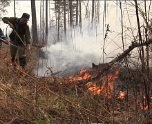 ️С начала пожароопасного сезона на территории Иркутской области произошло 235 лесных пожаров