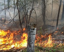 Планы тушения лесных пожаров в 2017 году начал составлять в Иркутской области