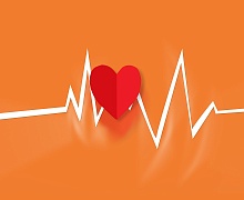 Челябинский врач-кардиолог рассказала, какой пульс является нормальным и чем опасны нарушения