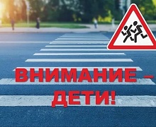 профилактическая акция «Внимание – дети!».