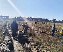 Полицейские и общественники из Усолья-Сибирского участвовали в экоакции "Сохраним лес". 