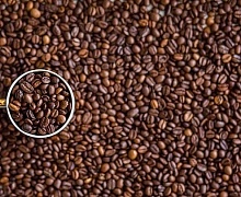 Врач Лишин заявил, что употребление кофе в жаркую погоду может привести к инфаркту