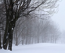 В Иркутской области метеорологи прогнозируют снег и порывы ветра в предстоящие выходные дни