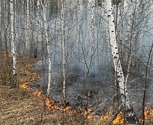 За минувшие сутки в Иркутской области ликвидировали 12 лесных пожаров