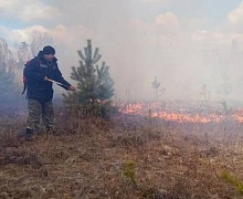 На утро 24 мая в Иркутской области действует три лесных пожара на площади 174,5 га