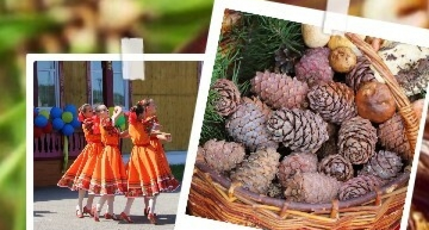 Фестиваль «Дары тайги»