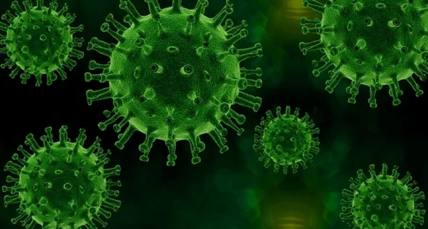 Роспотребнадзор предупредил о распространении гонконгского штамма гриппа