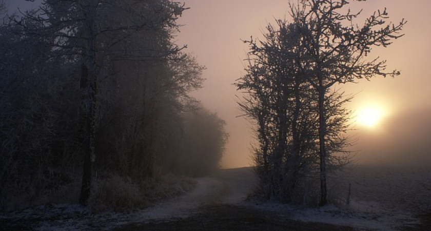 Внимание! О неблагоприятных погодных явлениях в Иркутской области 3 ноября предупреждают метеорологи