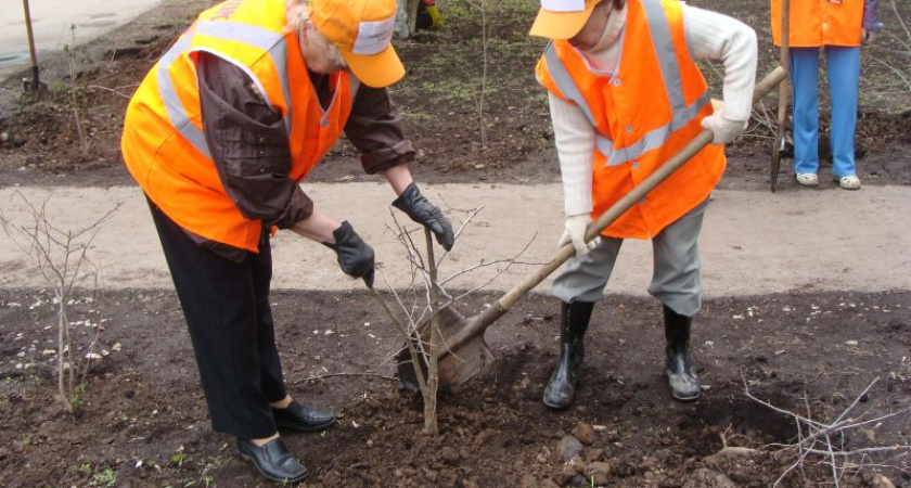 Общественные работы помогают жителям Иркутской области найти постоянный заработок