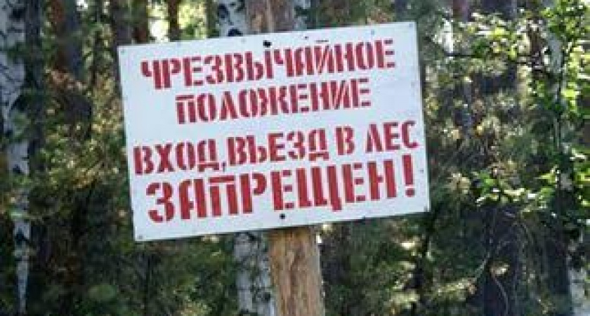 В лес ходить опасно!