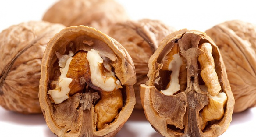 Регулярное употребление грецких орехов помогает бороться со стрессом