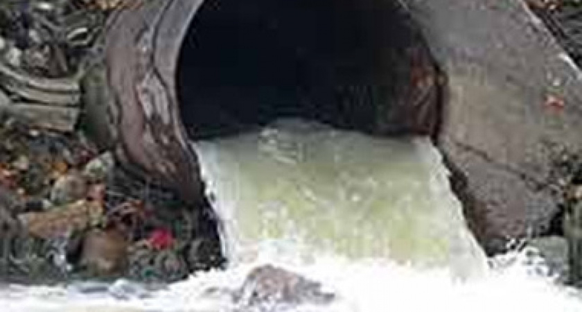 Проверили стоки