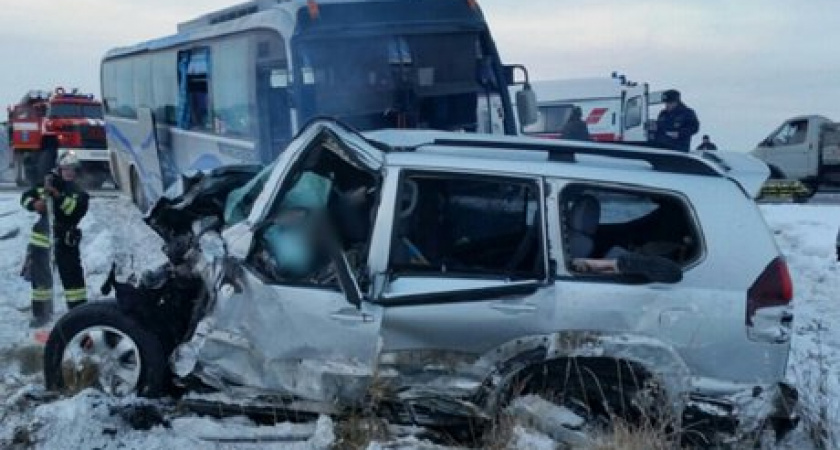 Родственникам месячной девочки, пострадавшей в ДТП, требуется помощь