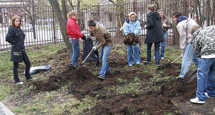 На борьбу со «взрослым» мусором вышли усольские школьники