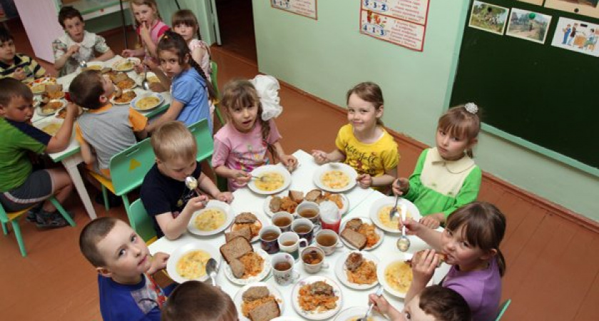 Лабиринты госзакупок