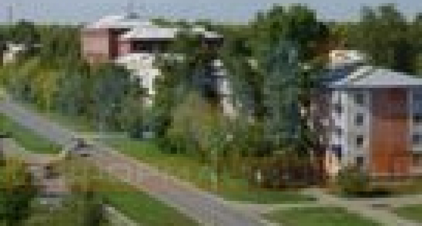 Кто живет в городе - люди или бараны?