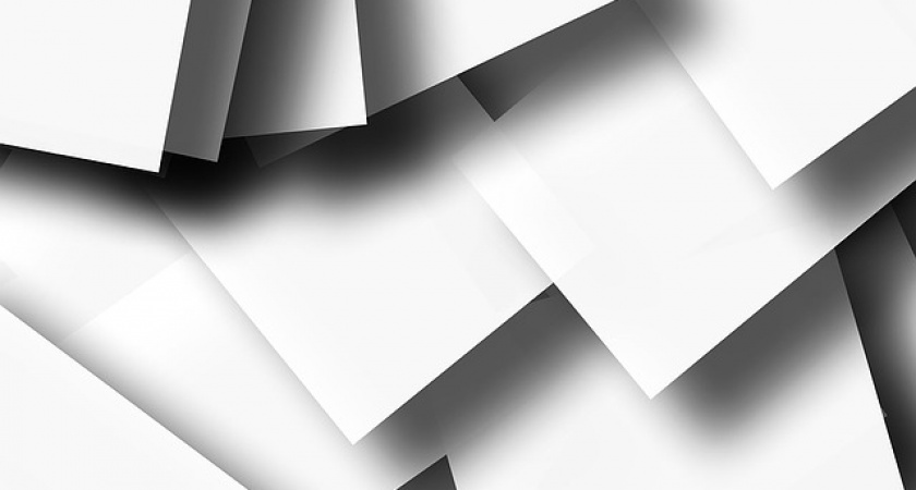 Лавров, Шойгу, Проценко и Шмелева отказались от мандатов в Госдуму