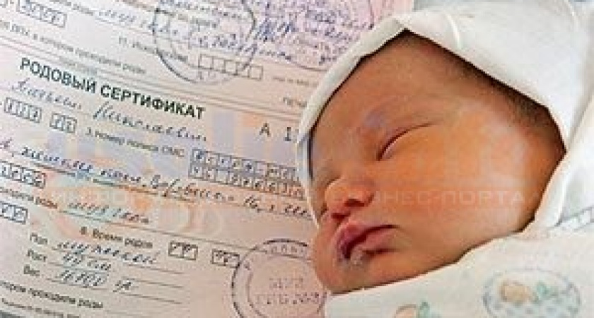 В Иркутской области владельцев материнского капитала защитят от мошенников