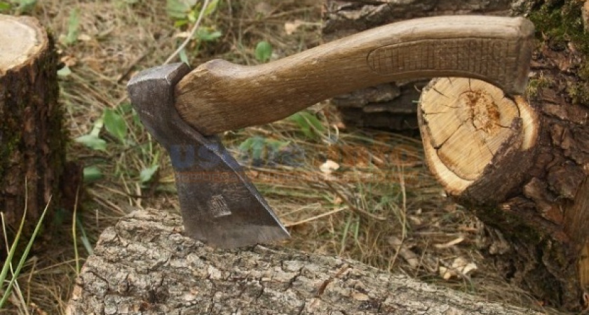 Юрий Фалейчик: «2013 год станет переломным годом в борьбе с незаконной рубкой древесины в Иркутской области»