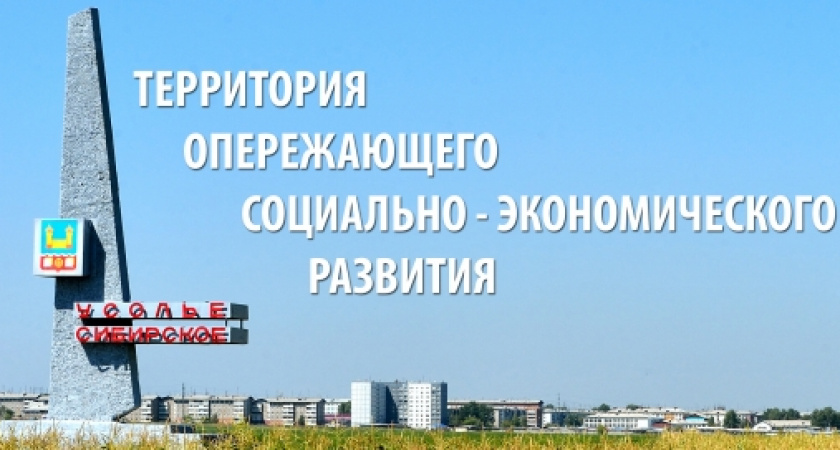 Перспективы ТОСЭР "Усолье-Сибирское" обсуждали на ноябрьском заседании Думы