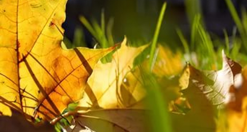 Прогноз погоды на 12 октября